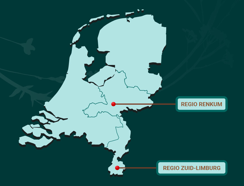 Persoonlijke service in uw regio